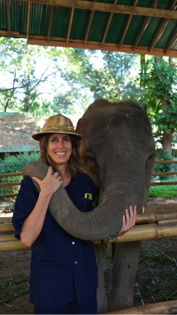 Santuario degli elefanti